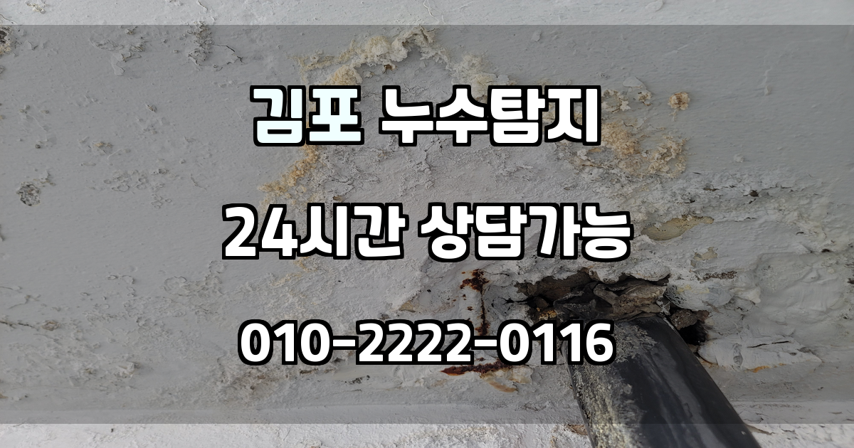 김포 누수탐지 서비스 지역