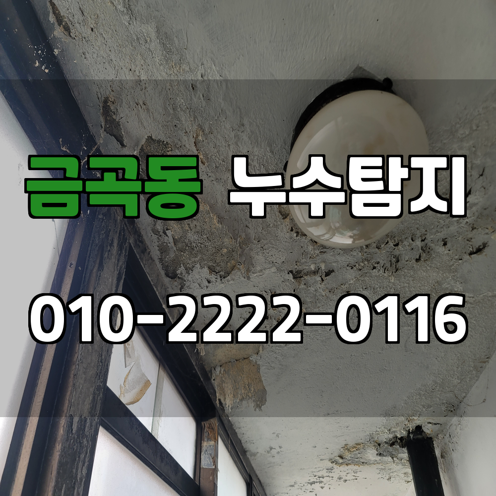 금곡동 누수탐지 서비스 지역