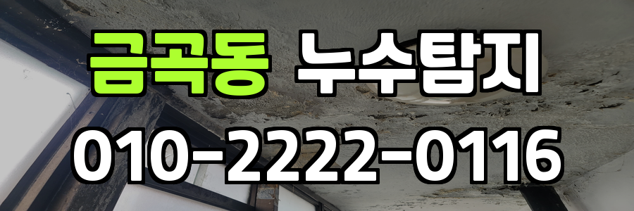 금곡동 누수탐지 비용