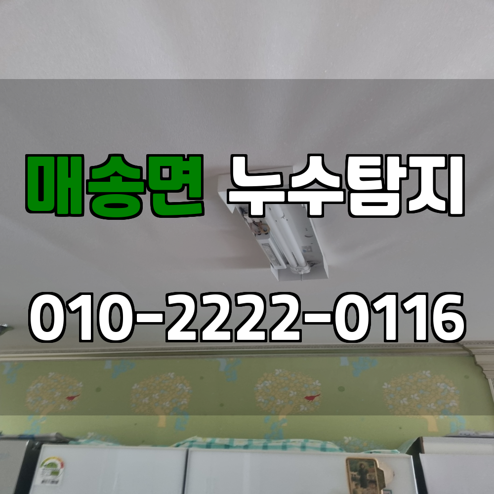매송면 누수탐지 서비스 지역