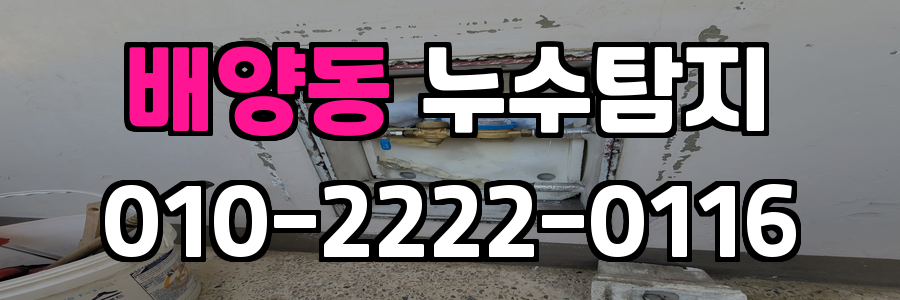 배양동 누수탐지 비용