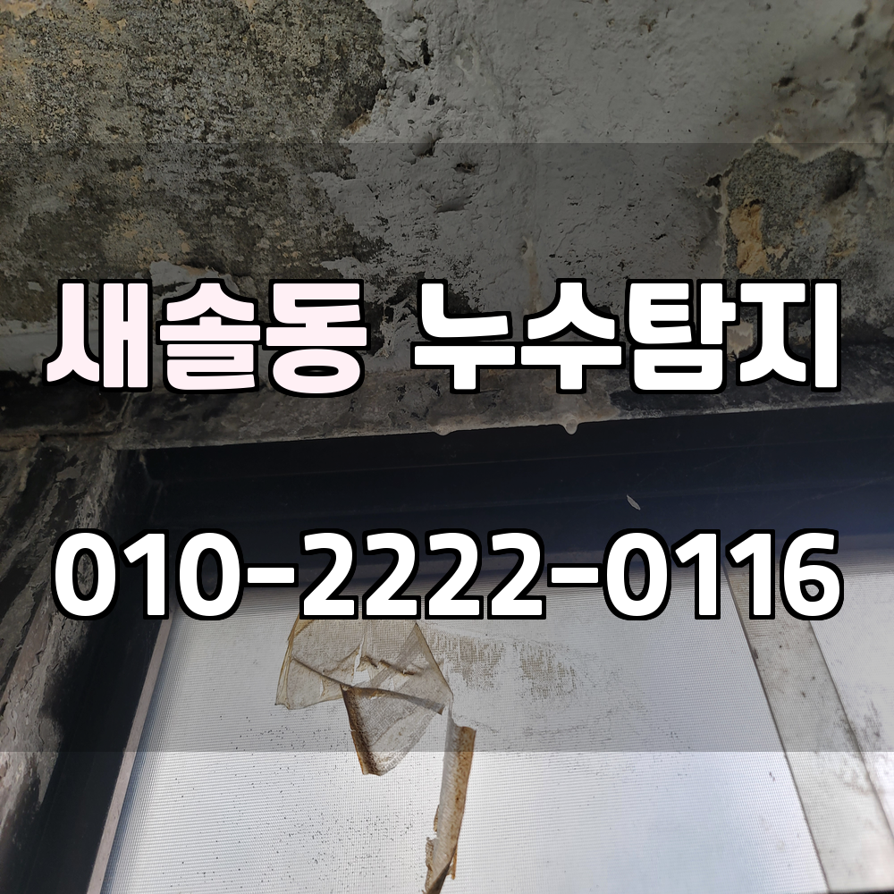 새솔동 누수탐지 서비스 지역
