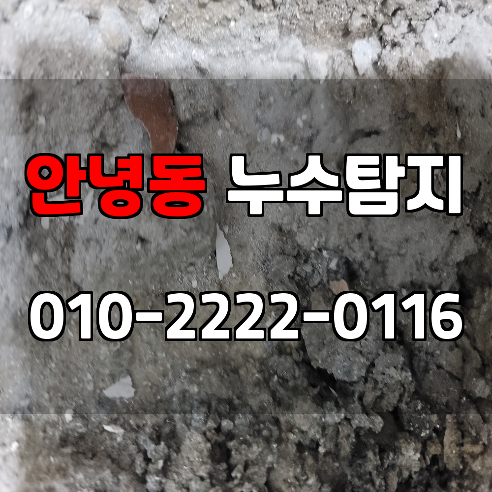 안녕동 누수탐지 서비스 지역