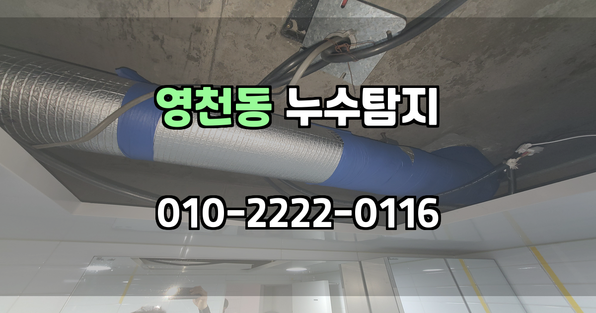 영천동 누수탐지