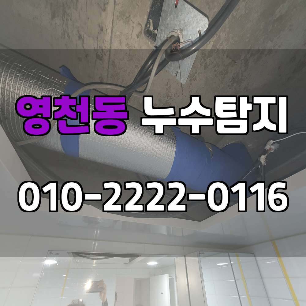 영천동 누수탐지 서비스 지역