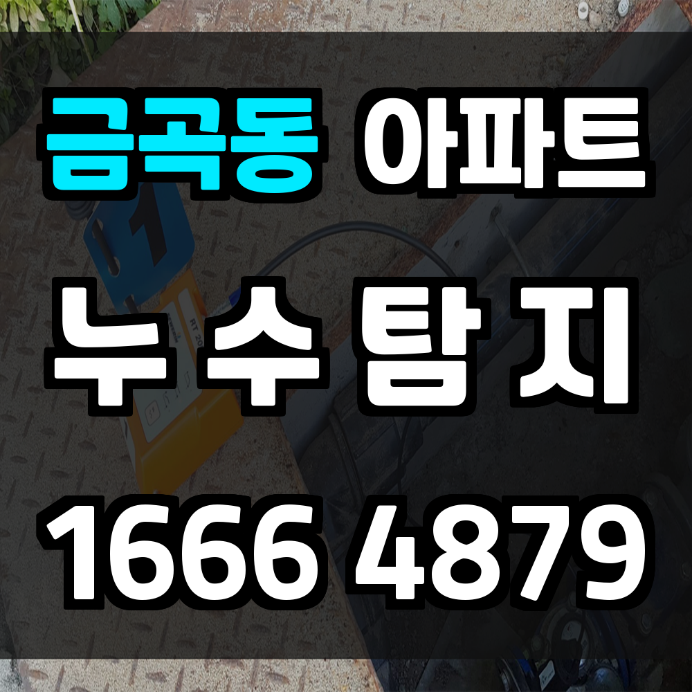 금곡동 아파트 누수탐지 눈에 안 보이는 위협까지 정확히 점검합니다
