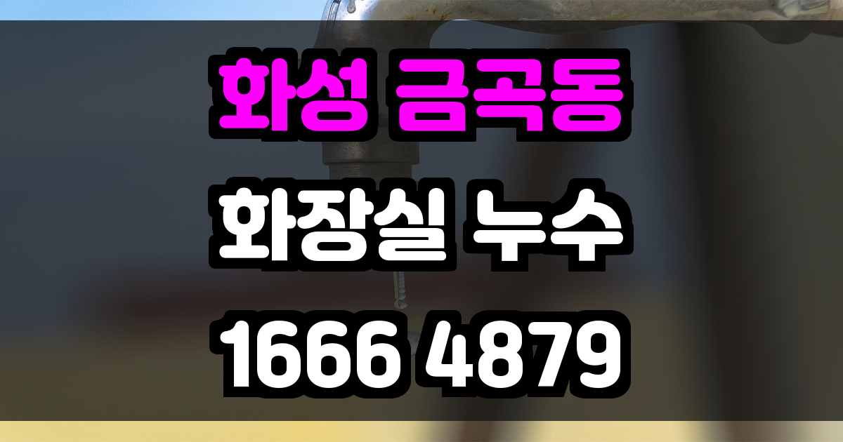화성 금곡동 화장실 누수