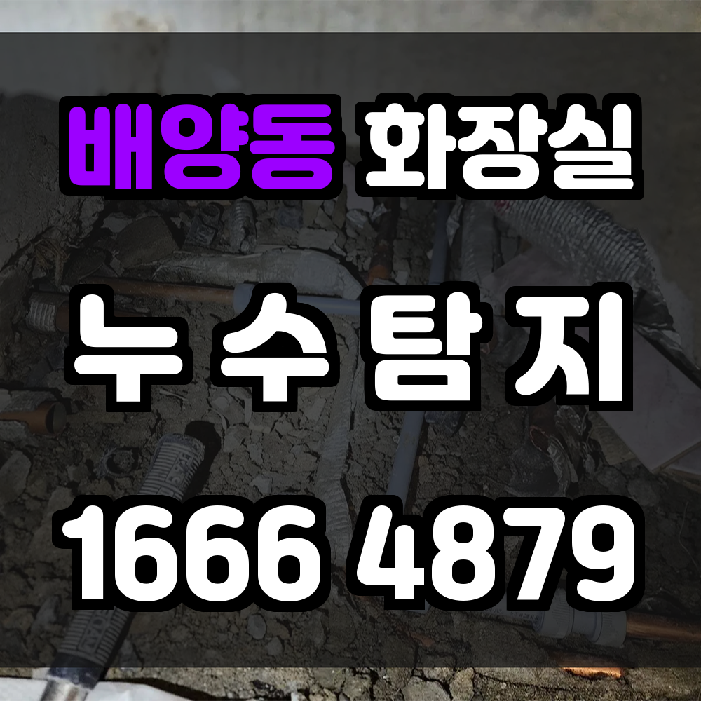 배양동 화장실 누수