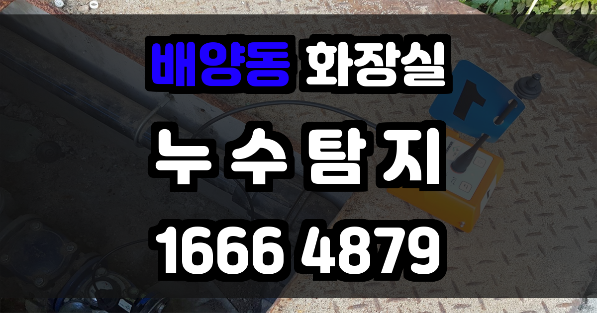 배양동 화장실 누수