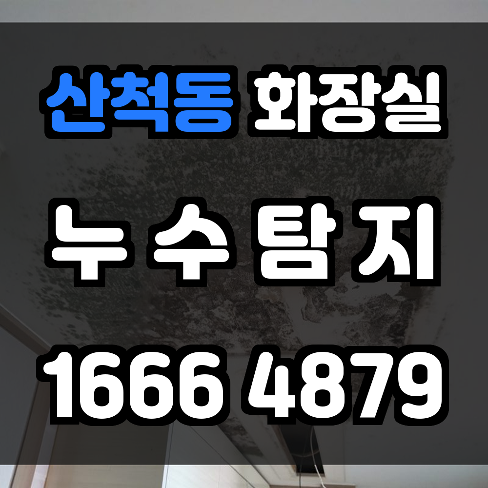 산척동 화장실 누수탐지 정밀 장비로 보이지 않는 누수까지 탐지