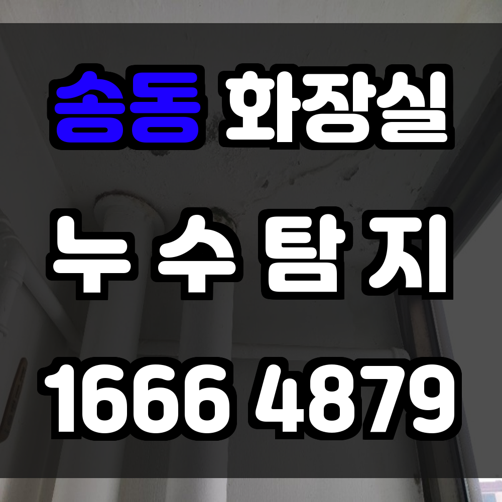 송동 화장실 누수탐지 곰팡이와 악취 원인을 정확히 파악하는 진단 서비스