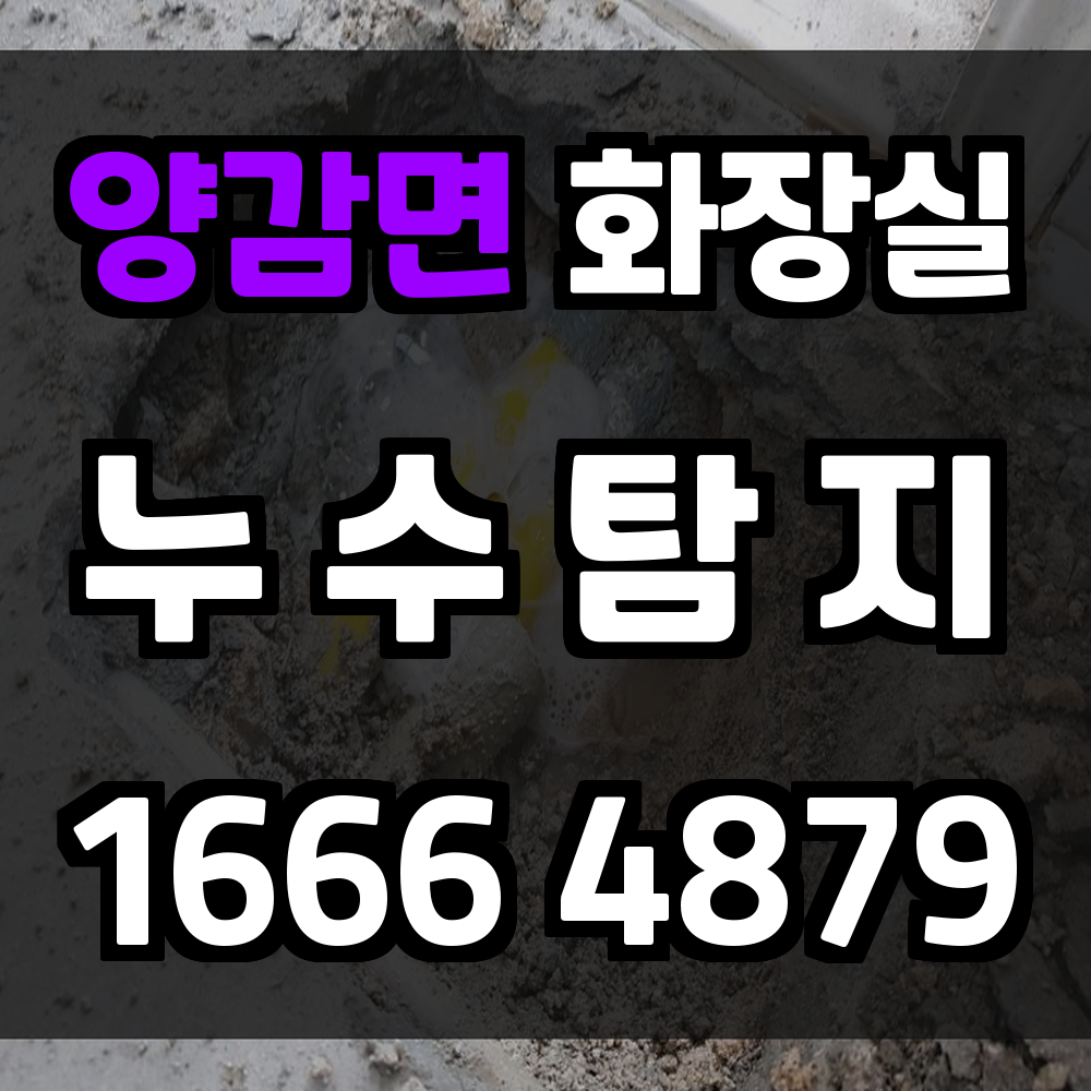 양감면 화장실 누수탐지 전문 장비로 신속한 복구 제공