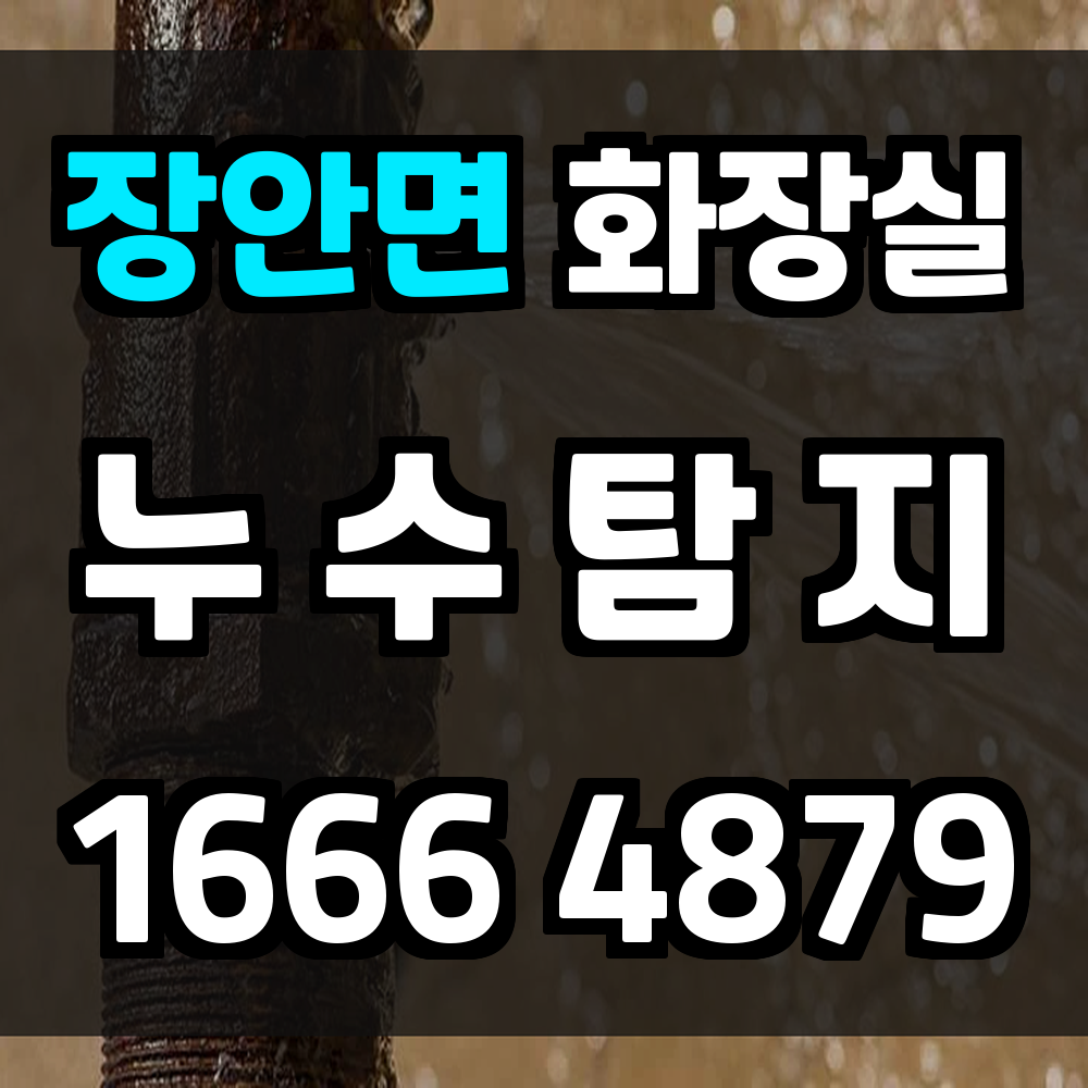 장안면 화장실 누수탐지 전문 점검과 복구 서비스