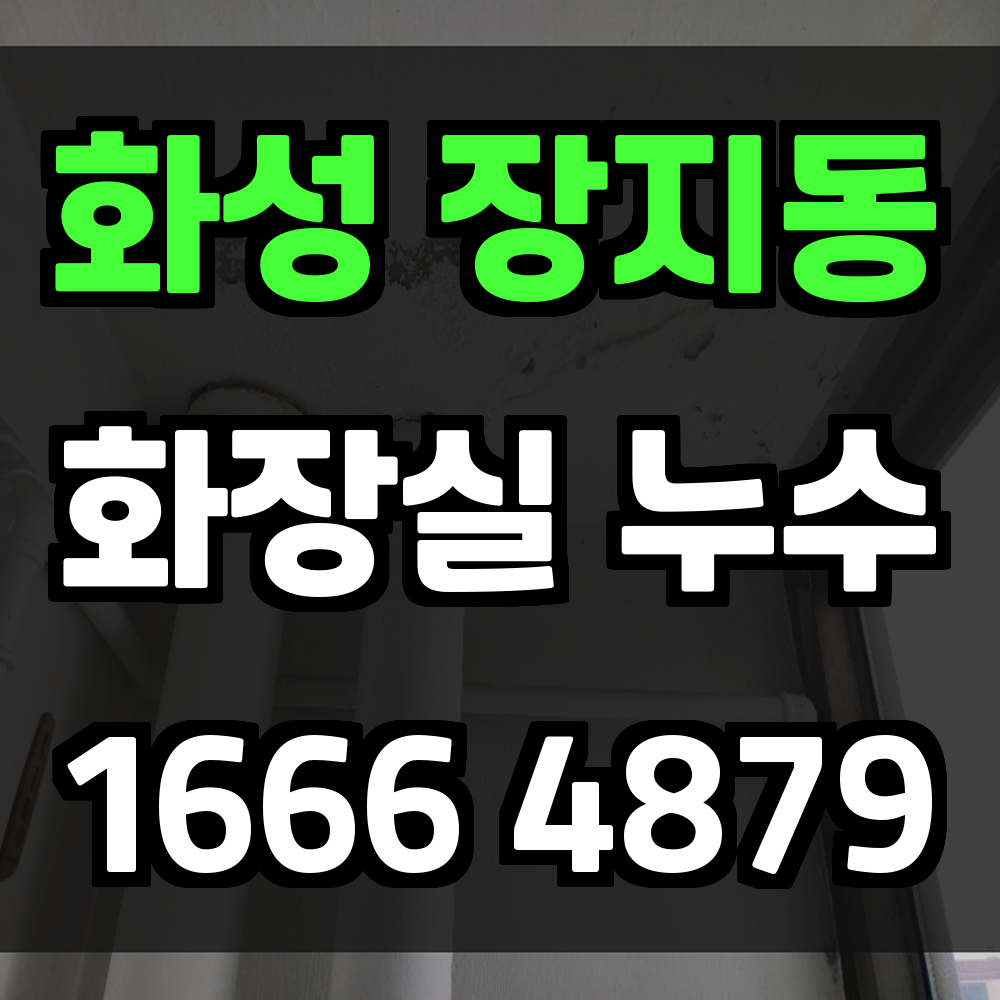화성 장지동 화장실 누수탐지 신속한 진단과 확실한 복구