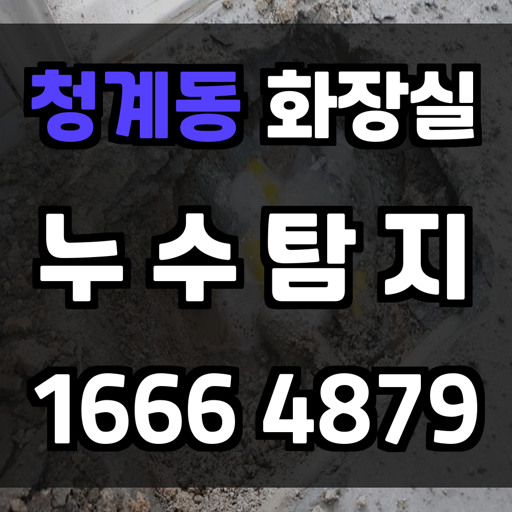 청계동 화장실 누수탐지 정확한 진단과 신속 복구