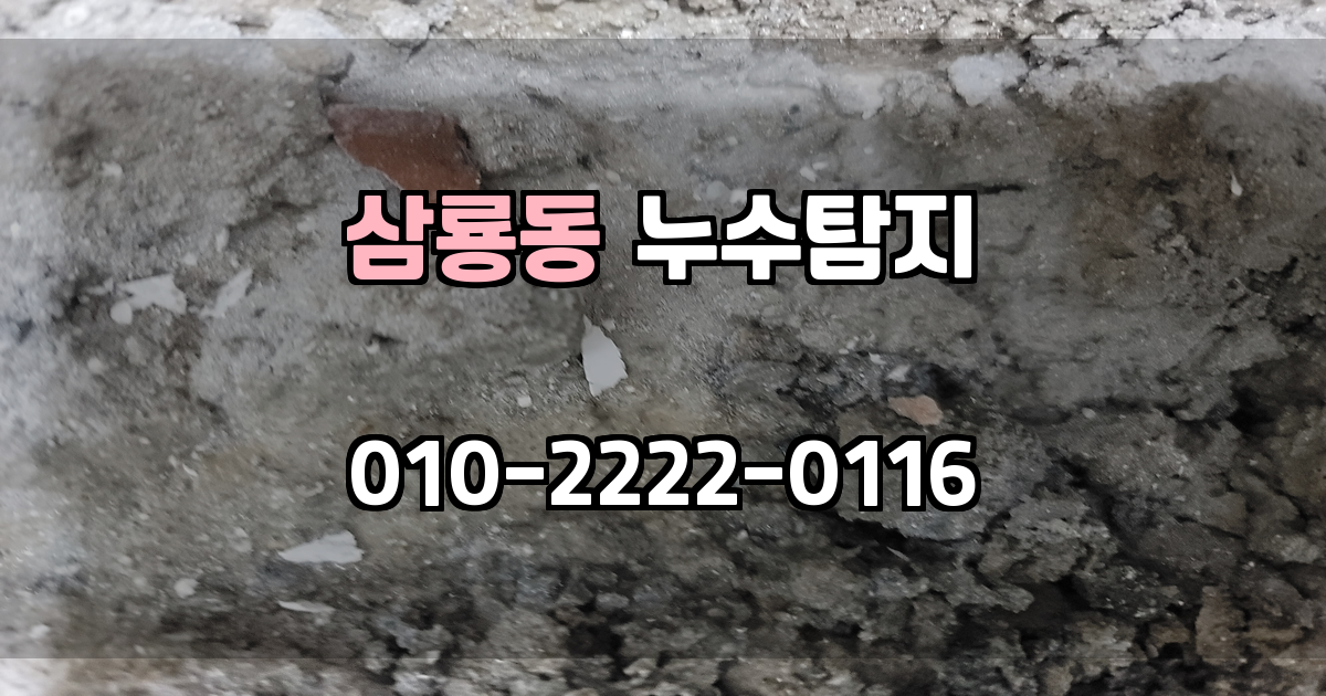 삼룡동 누수탐지