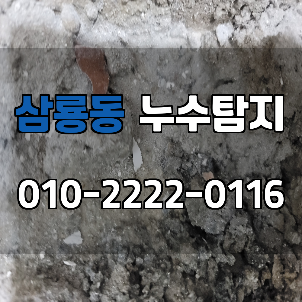 삼룡동 누수탐지 서비스 지역