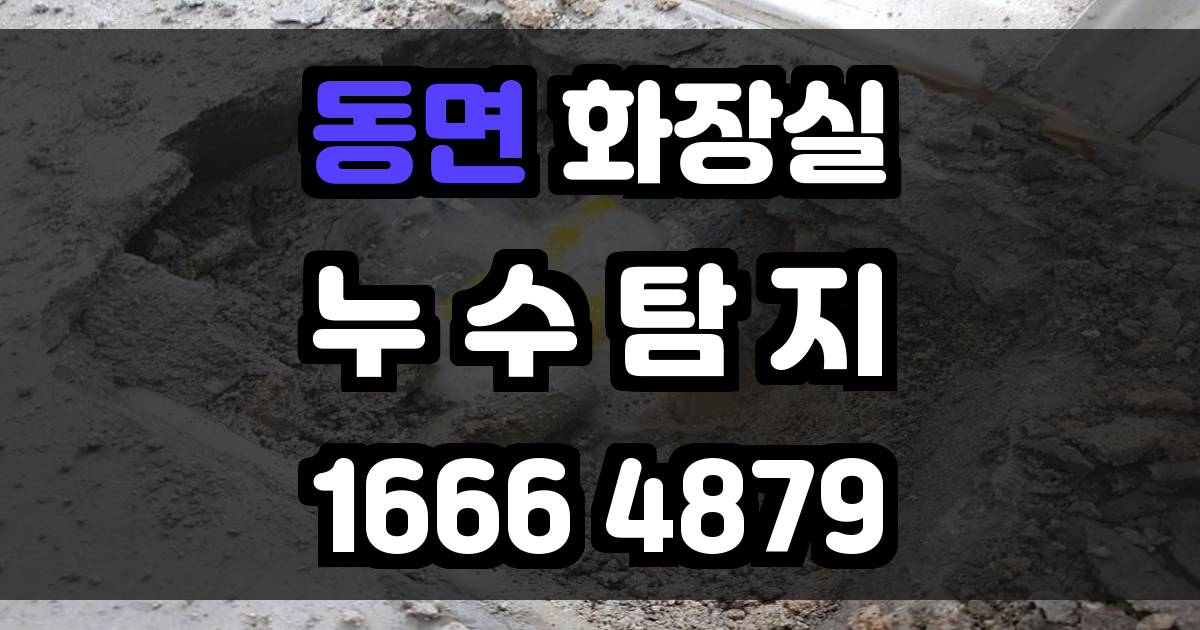 동면 화장실 누수