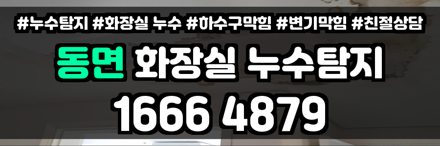 동면 화장실 누수
