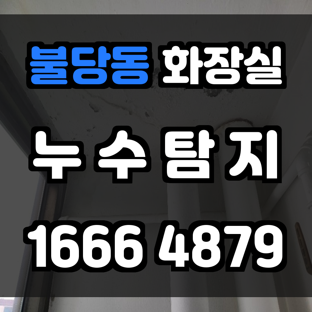 불당동 화장실 누수탐지 정밀 장비로 빠르고 정확한 진단 서비스 제공