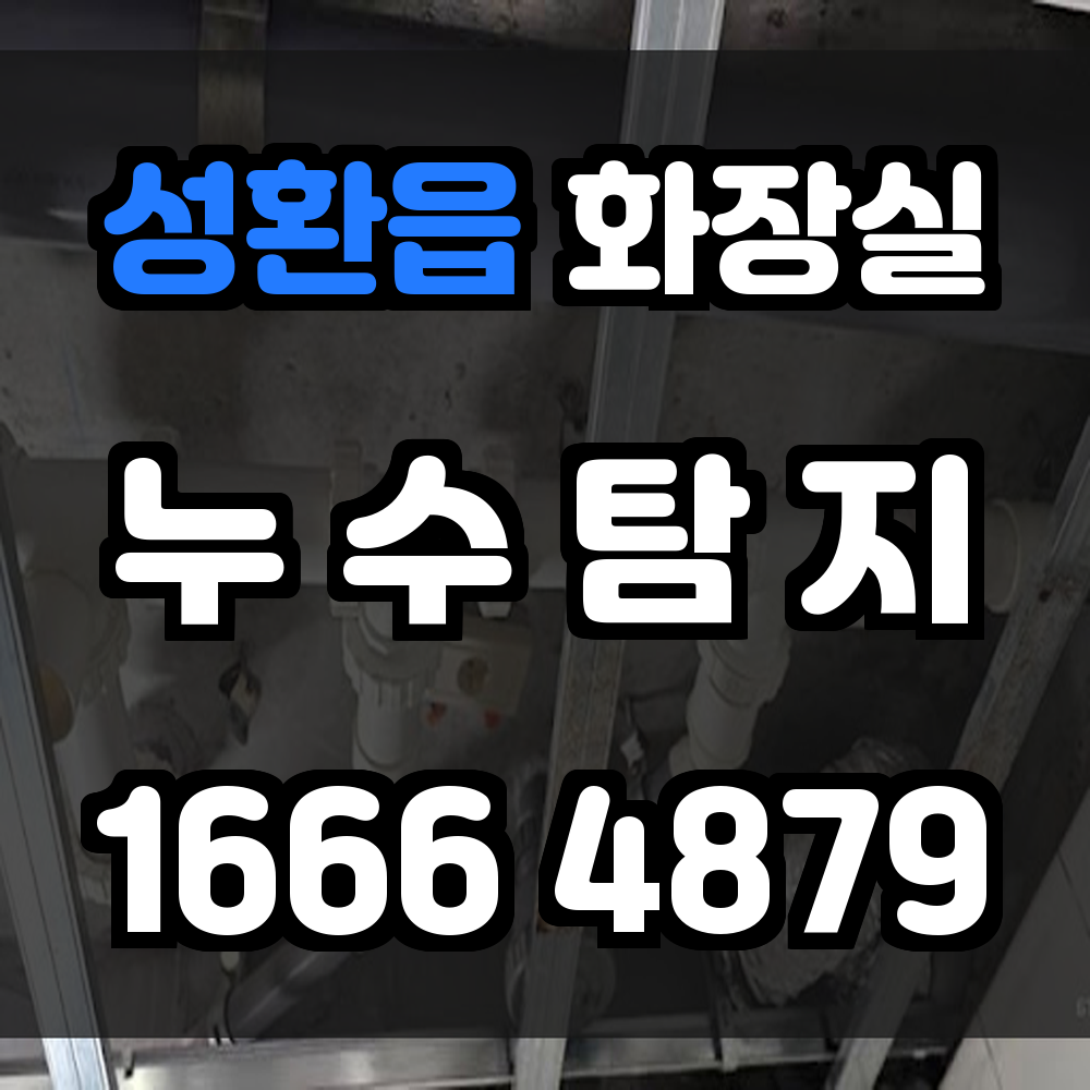 성환읍 화장실 누수탐지 꼼꼼한 진단과 합리적인 복구까지
