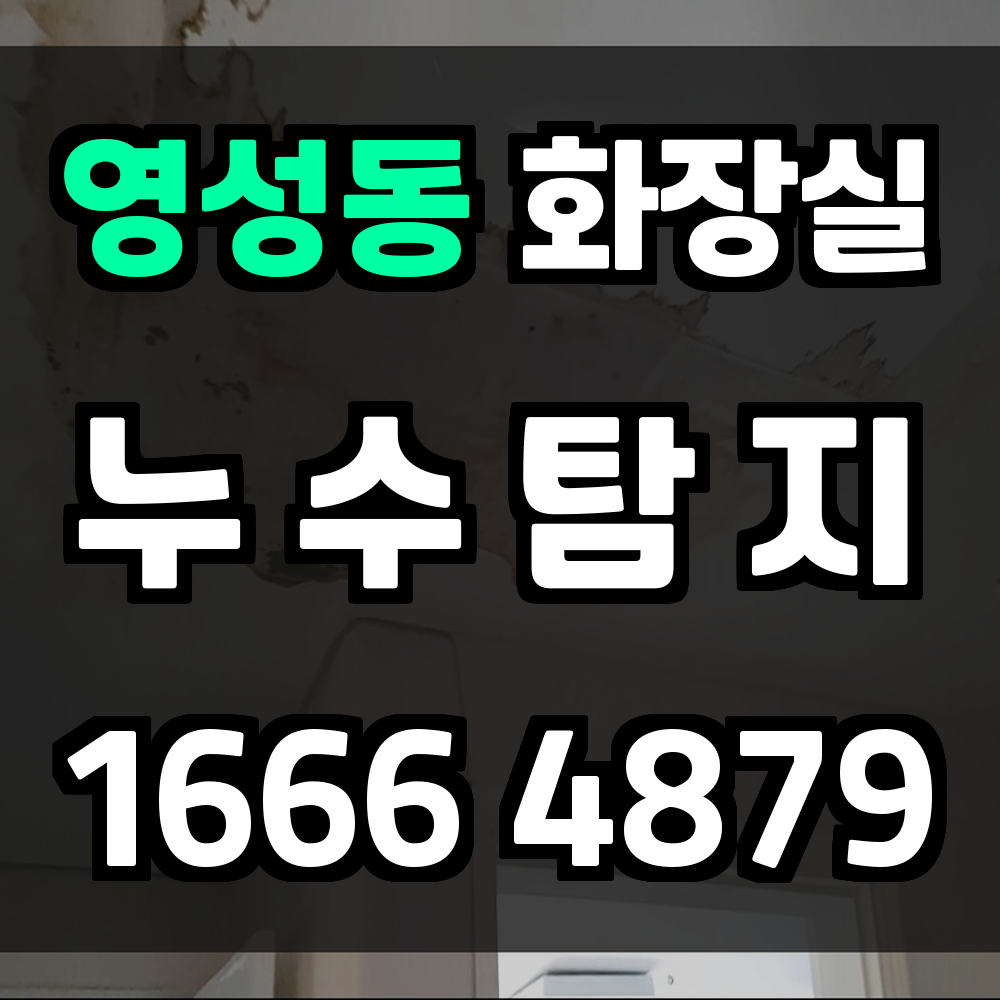 영성동 화장실 누수탐지로 쾌적하고 안전한 공간 유지