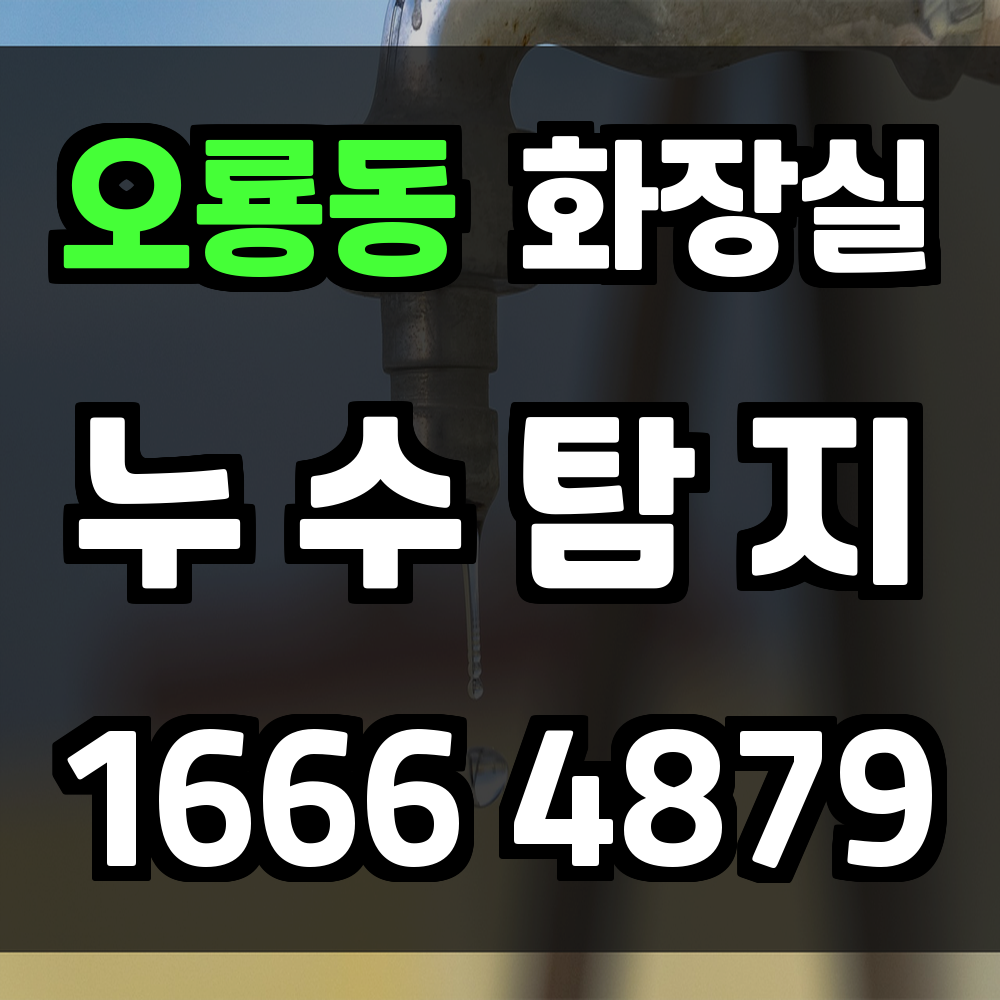 오룡동 화장실 누수탐지로 안전과 청결을 한 번에