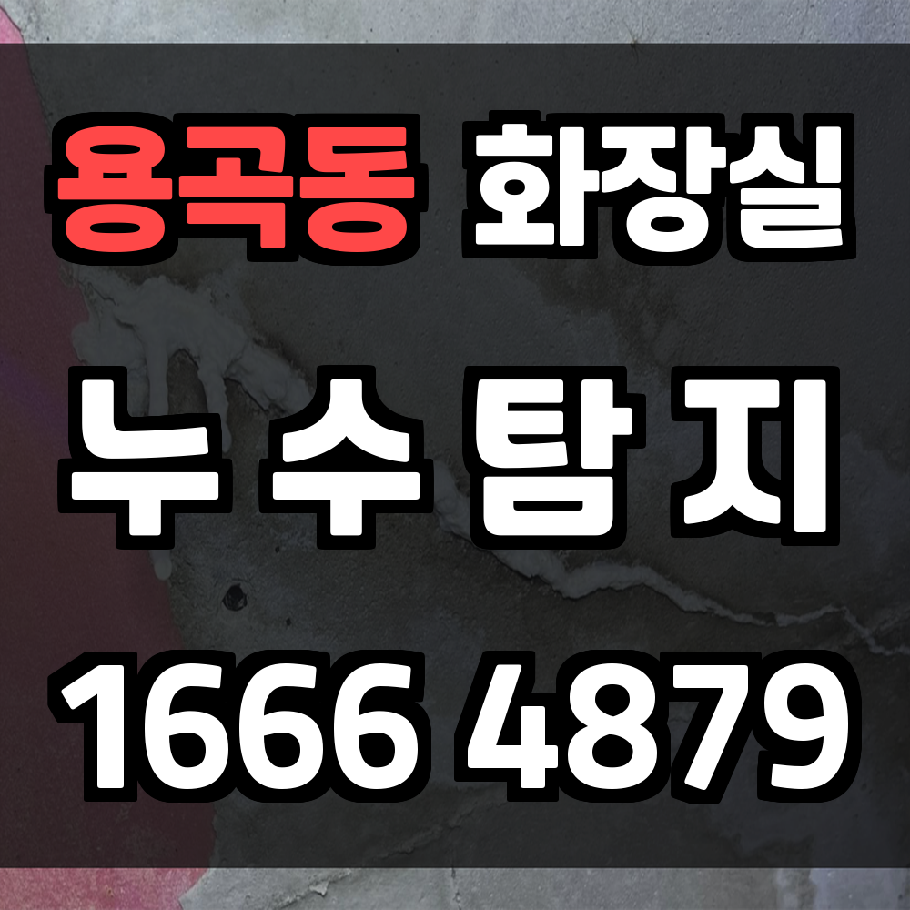 용곡동 화장실 누수탐지로 주거 환경과 재산을 함께 보호