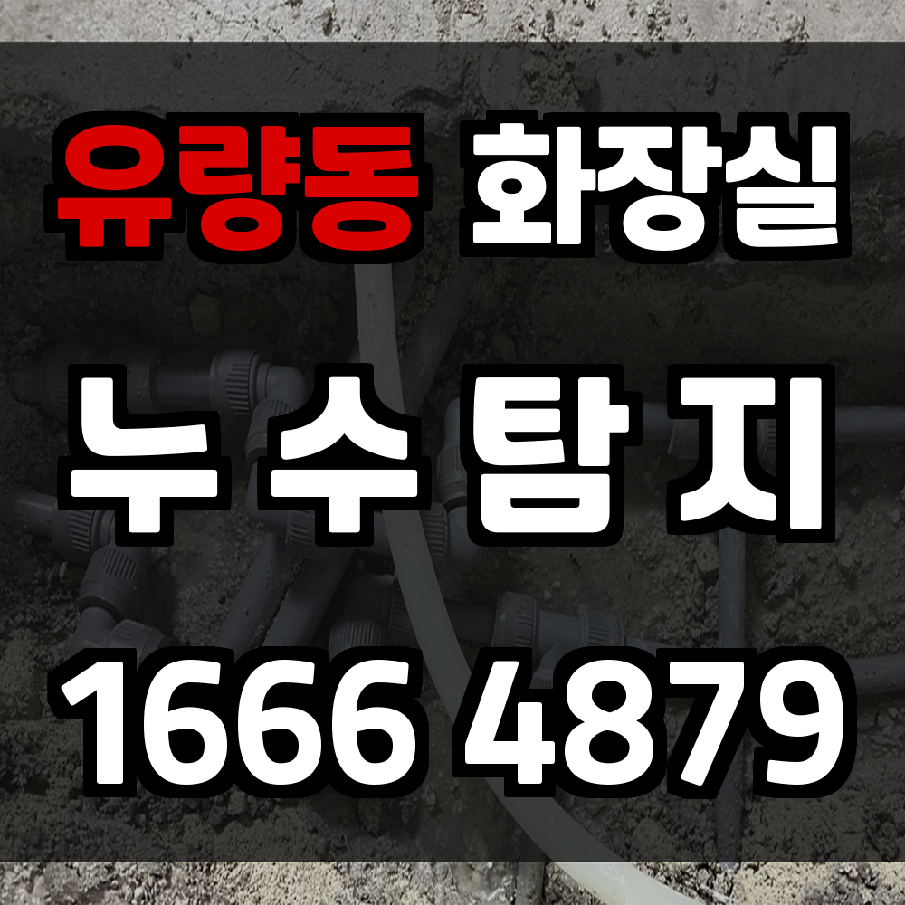 유량동 화장실 누수탐지로 안전하고 위생적인 공간 유지