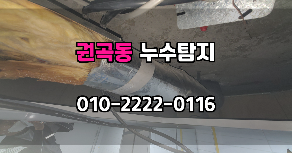 권곡동 누수탐지