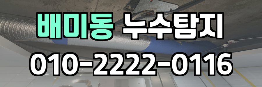 배미동 누수탐지 비용