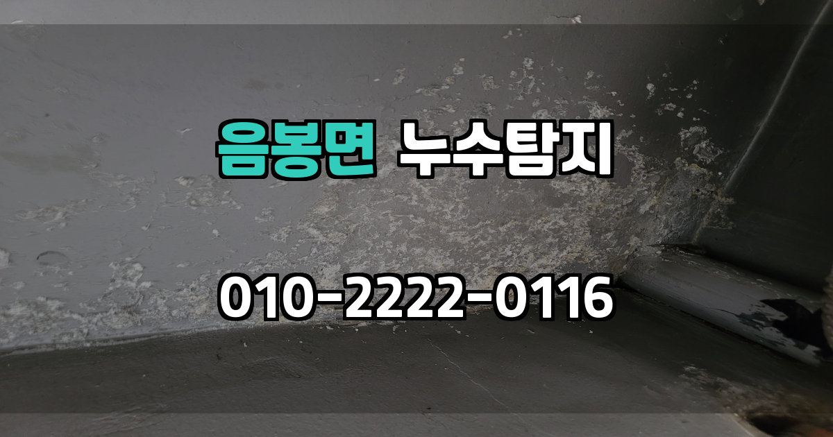 음봉면 누수탐지