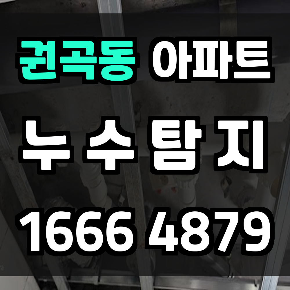 권곡동 아파트 누수탐지로 생활공간을 더 안전하게 지키세요