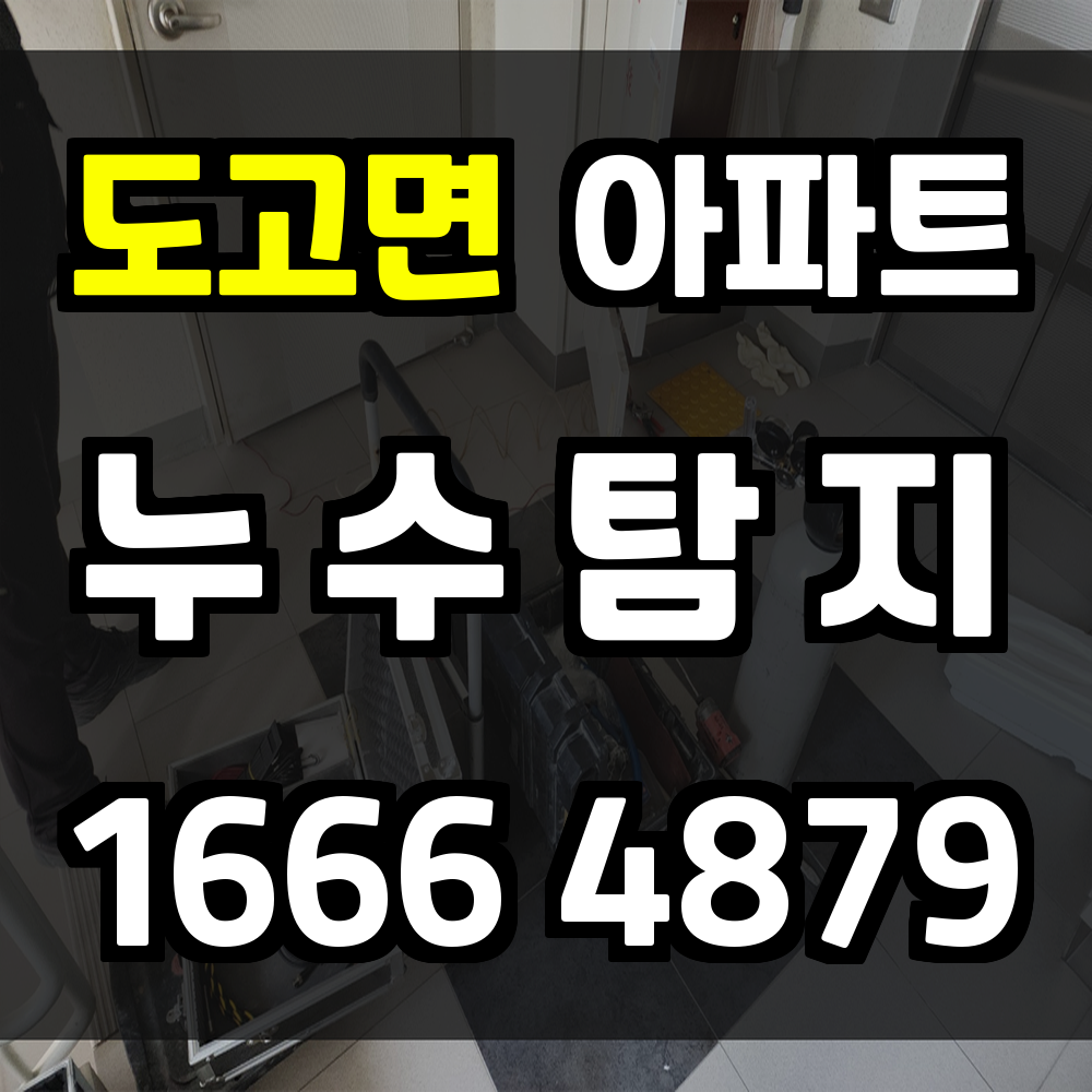 도고면 아파트 누수탐지 실시간 진단으로 정확한 문제 해결