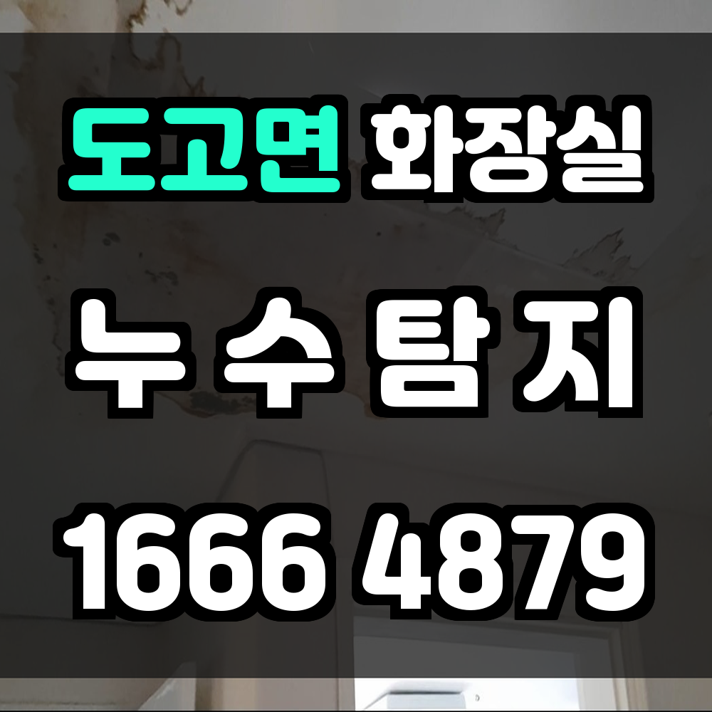 도고면 화장실 누수