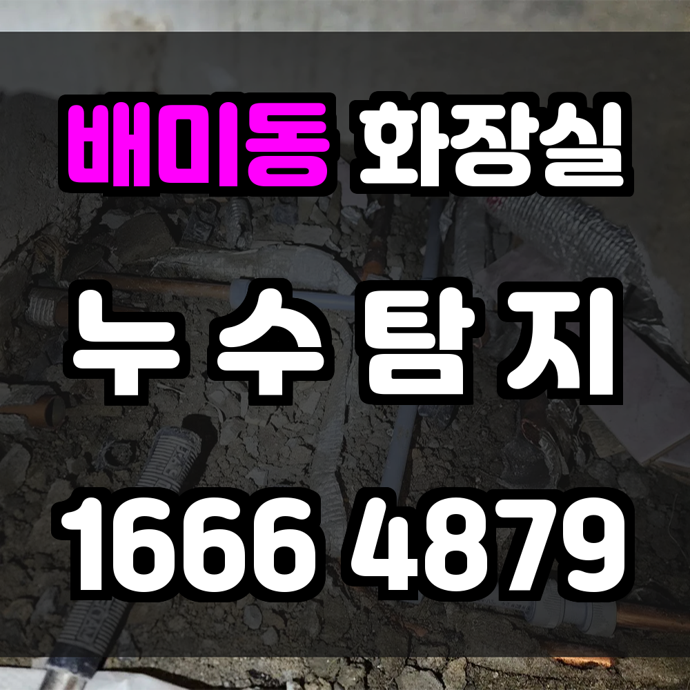 배미동 화장실 누수