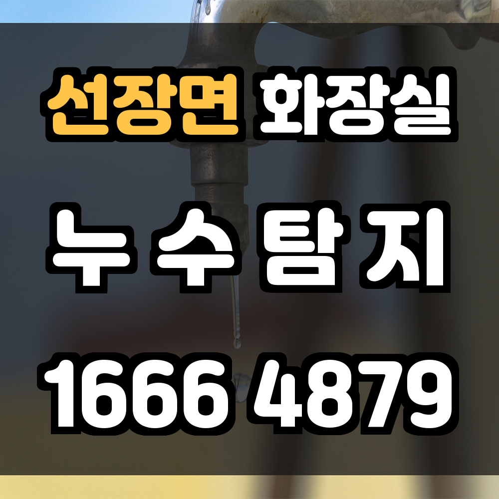 선장면 화장실 누수