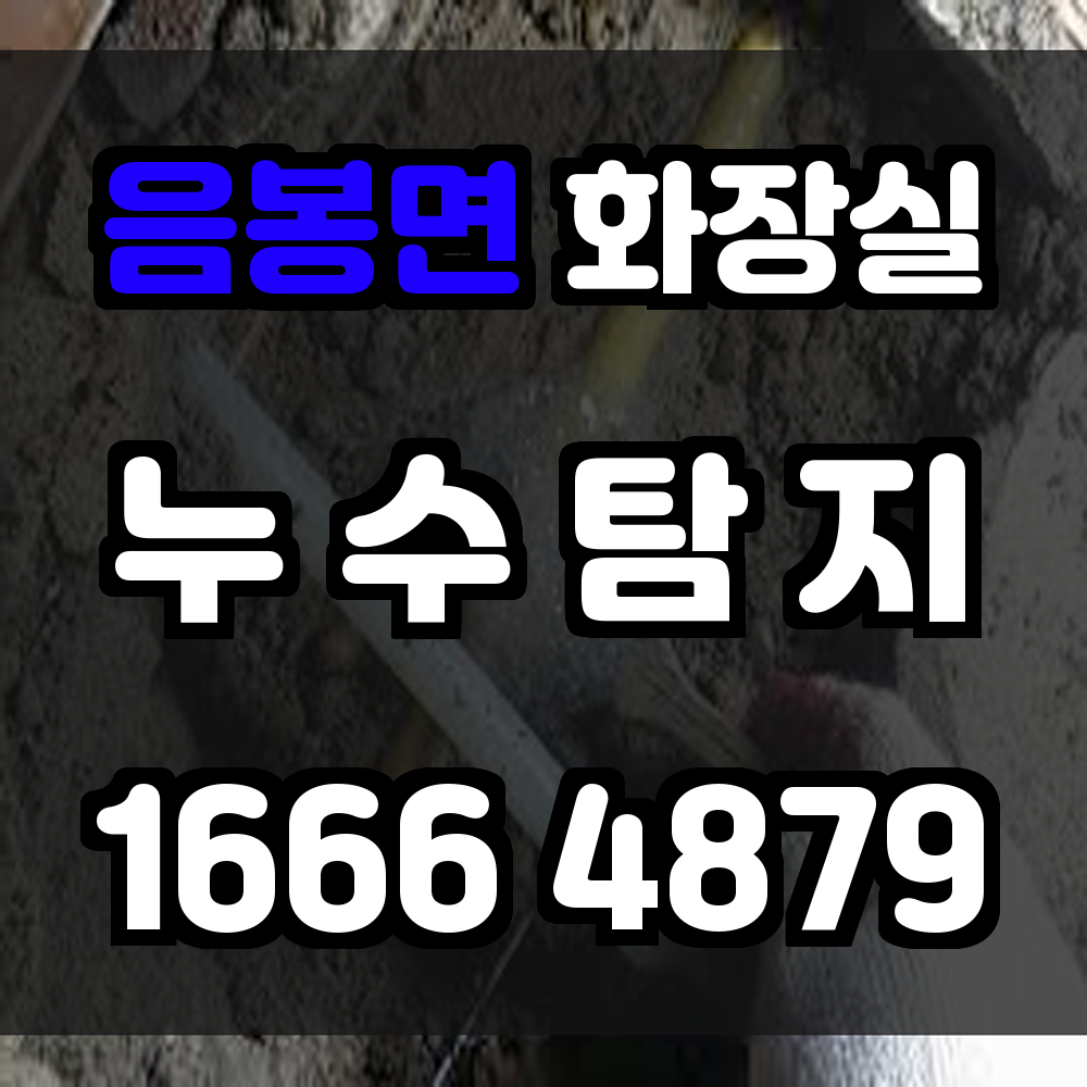 음봉면 화장실 누수탐지 작은 물샘도 놓치지 않는 정밀 점검