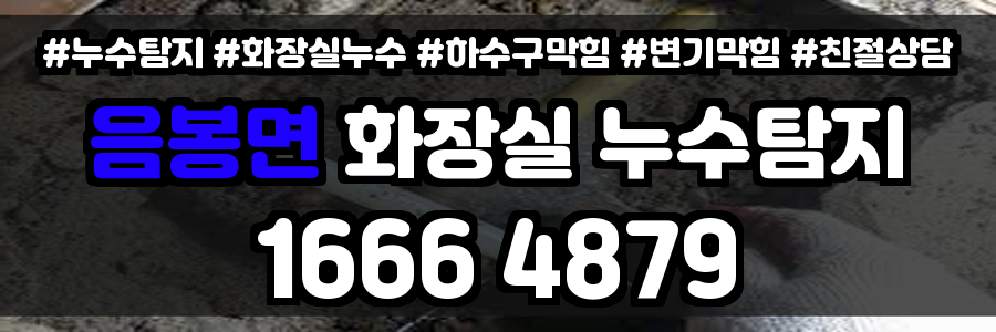 음봉면 화장실 누수