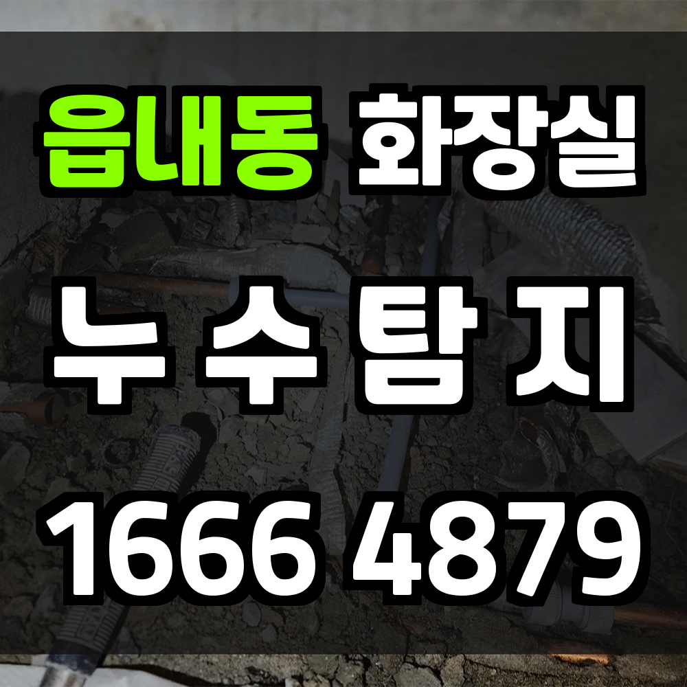 읍내동 화장실 누수