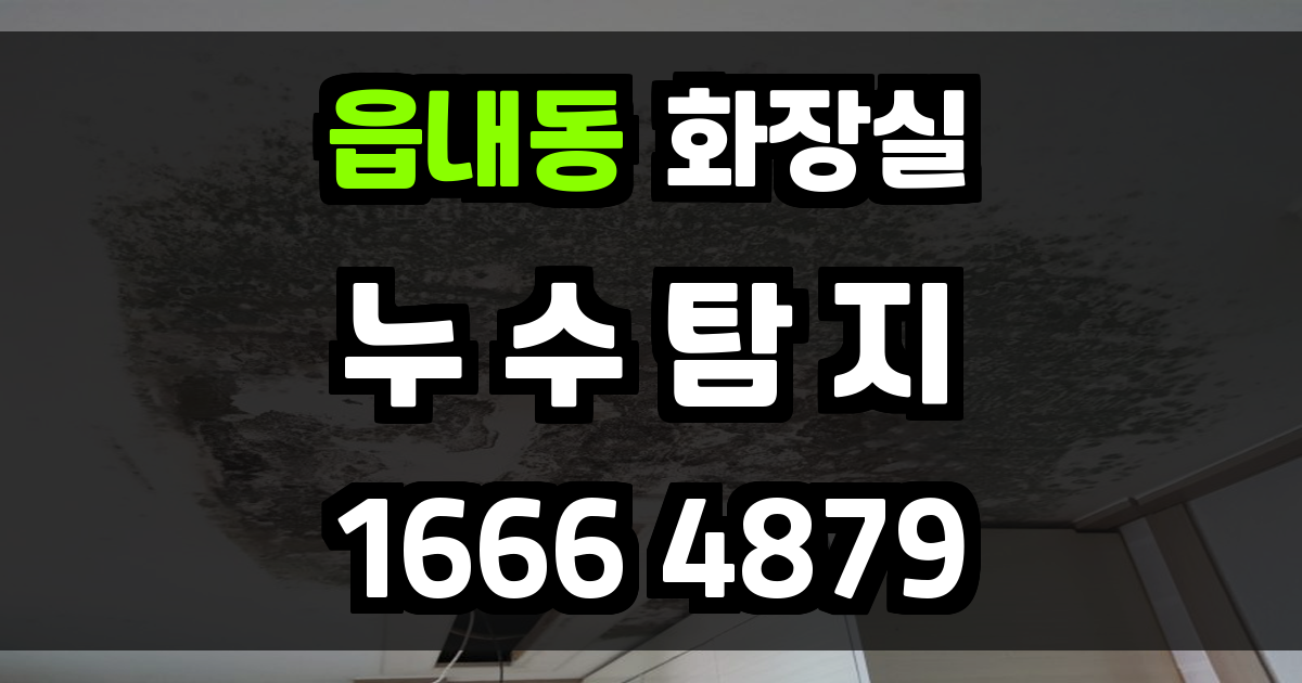 읍내동 화장실 누수