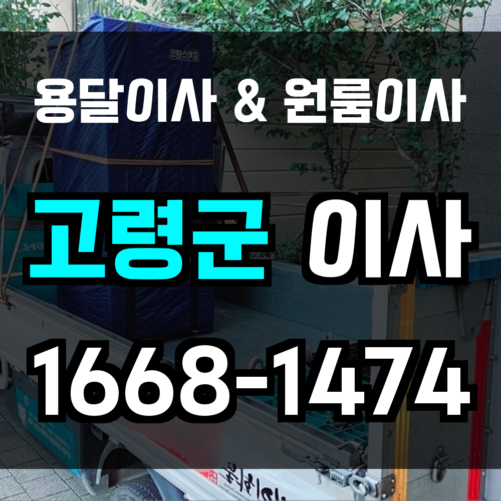 고령용달이사