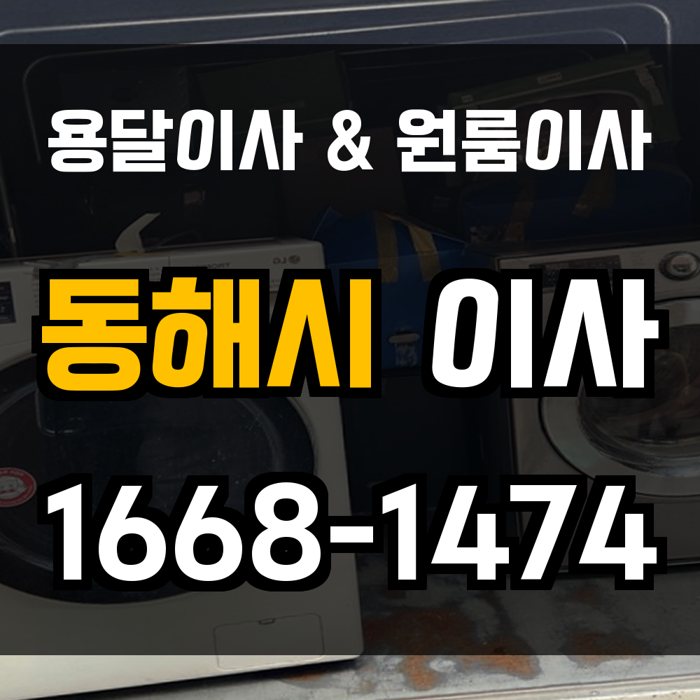 동해용달이사