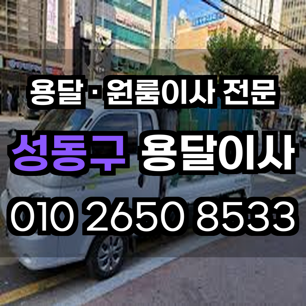 성동구용달이사