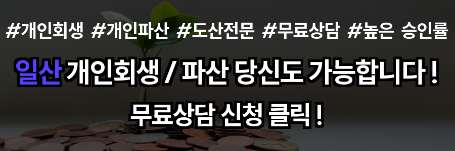 일산 개인회생