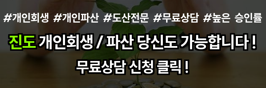 진도 개인회생