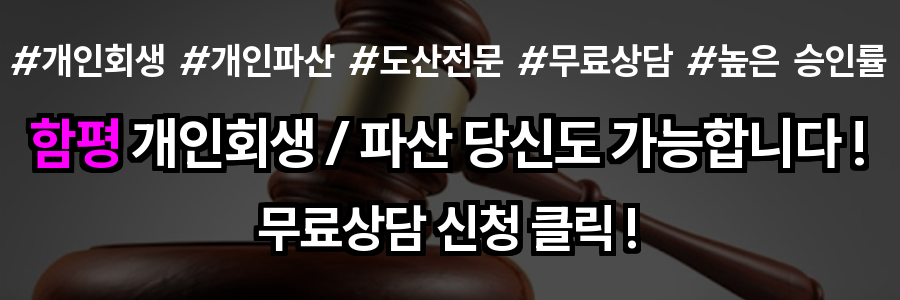 함평 개인회생