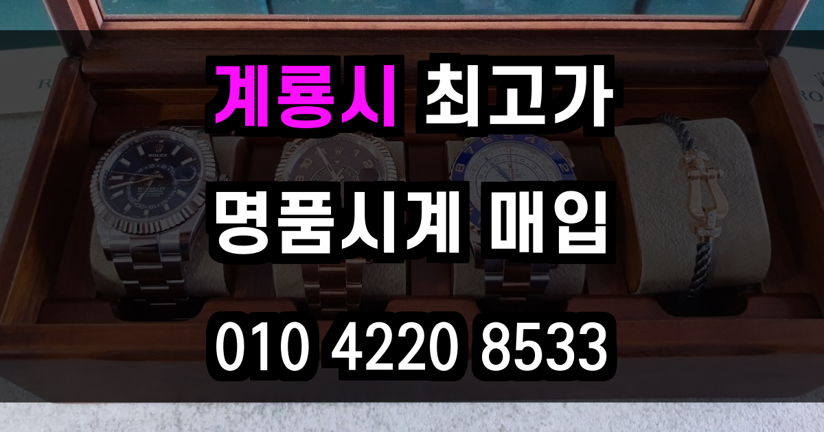 계룡시 로렉스 매입