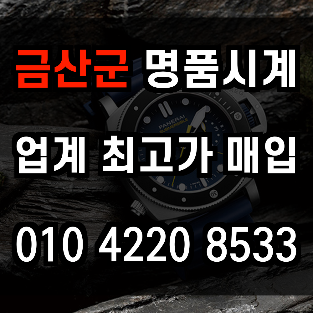 금산군 로렉스 매입