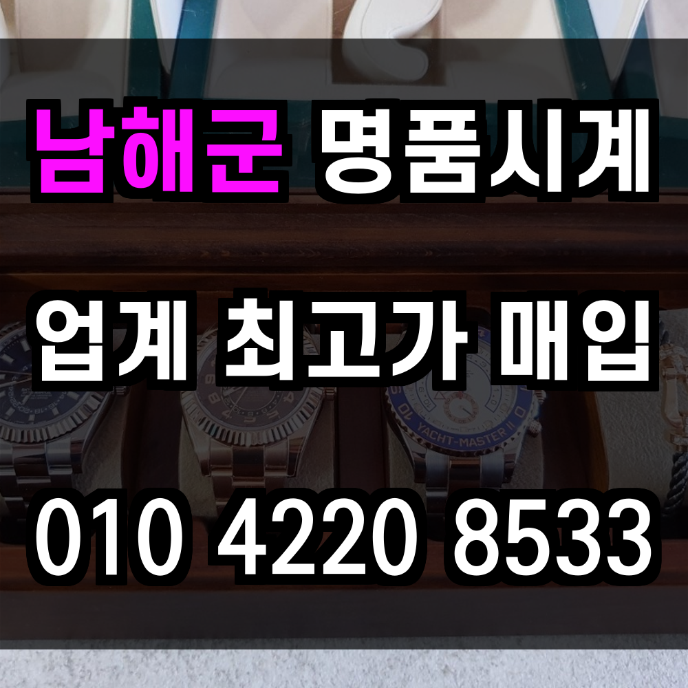 남해군 로렉스 매입